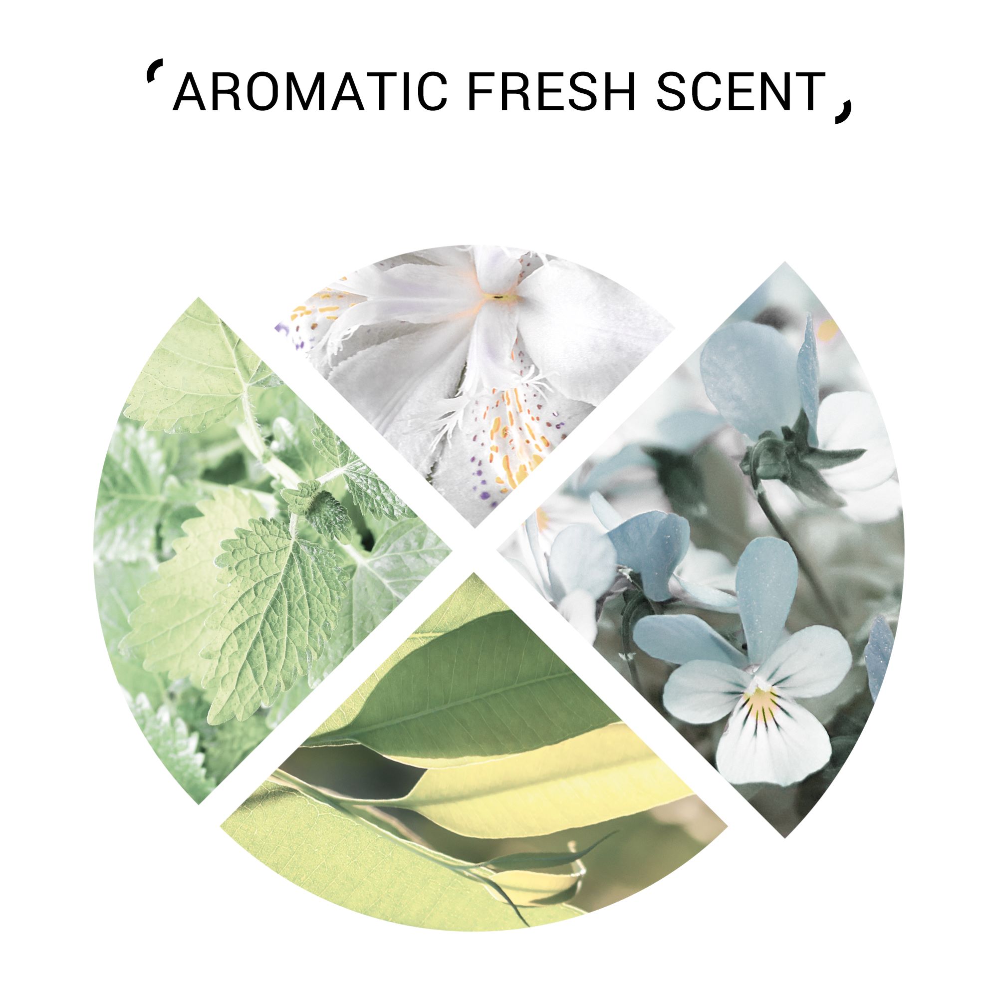 4084500749306_Wella_SystemProfessional_PurifyMask_200ml_SI_7